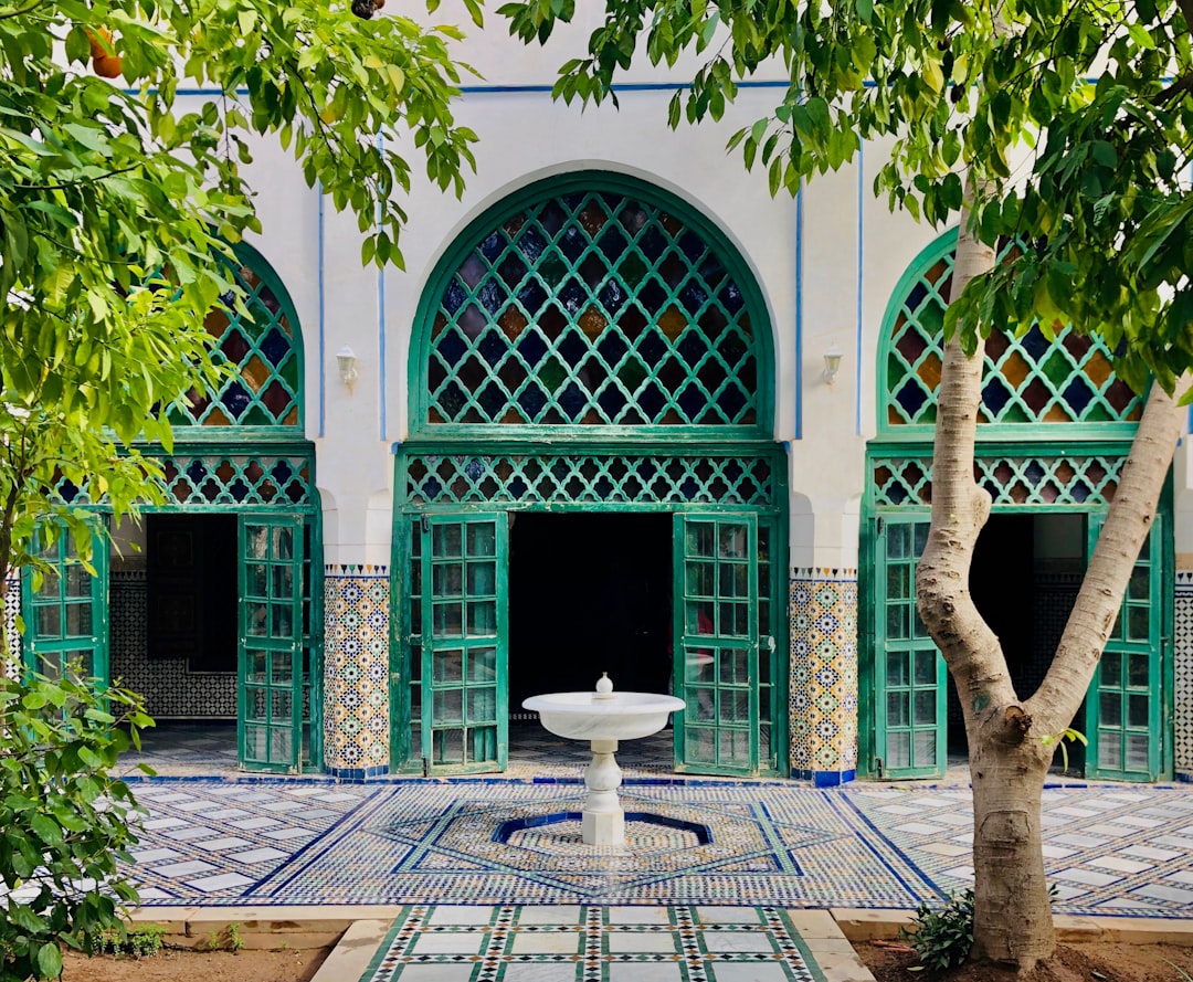 Photo by Oussama sabri green palm tree near white and blue concrete building